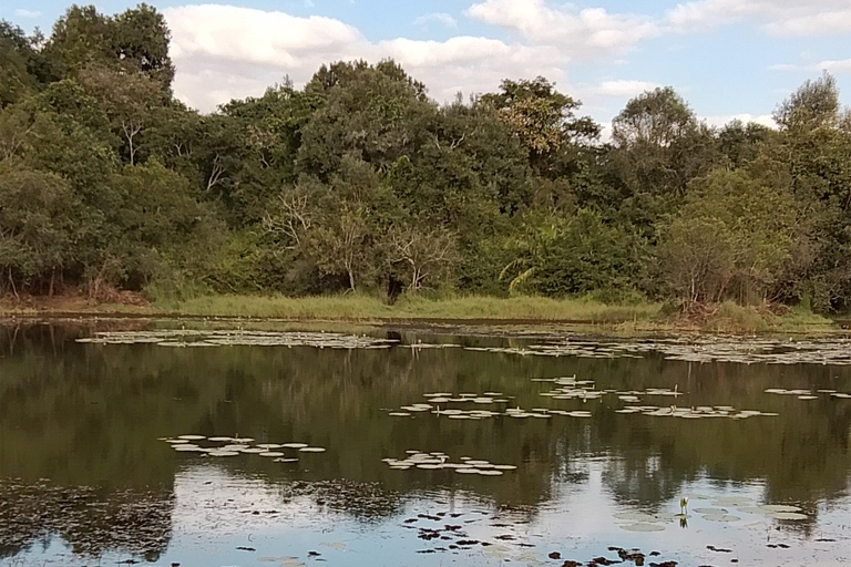 Nairobi: tour guiado a pie por el bosque de Karura