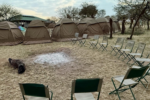 Zanzibar: Tarangire Overnight Safari with Night Game Drive