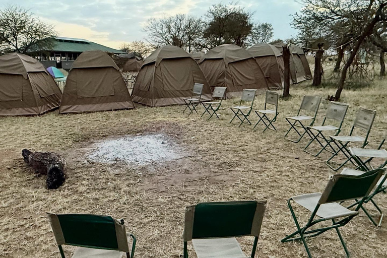 Zanzibar: Tarangire Overnight Safari with Night Game Drive