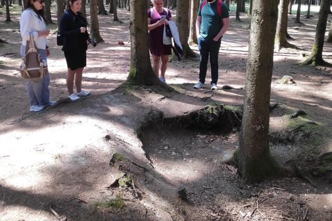 au départ de Bruxelles : visite des sites historiques de la Bataille des Ardennes