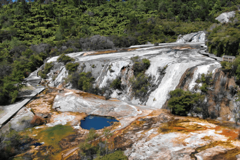 Desde Auckland: Excursión de un día en grupo a la Cueva de Waitomo y Orakei Korako