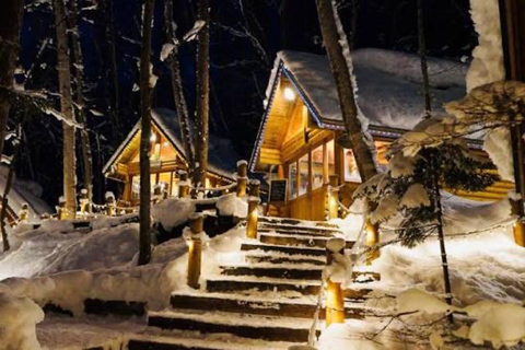 From Sapporo: Biei Blue Pond & Furano Flowers Day Tour Alphard (up to 5) — Private Day Tour