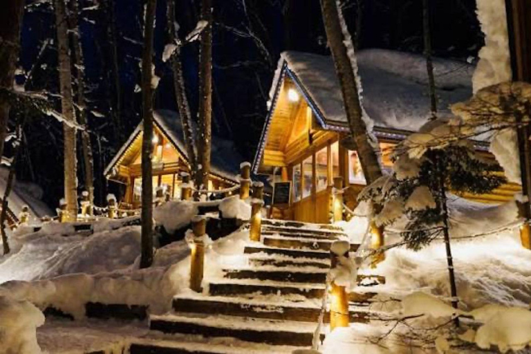From Sapporo: Biei Blue Pond & Furano Flowers Day Tour Alphard (up to 5) — Private Day Tour