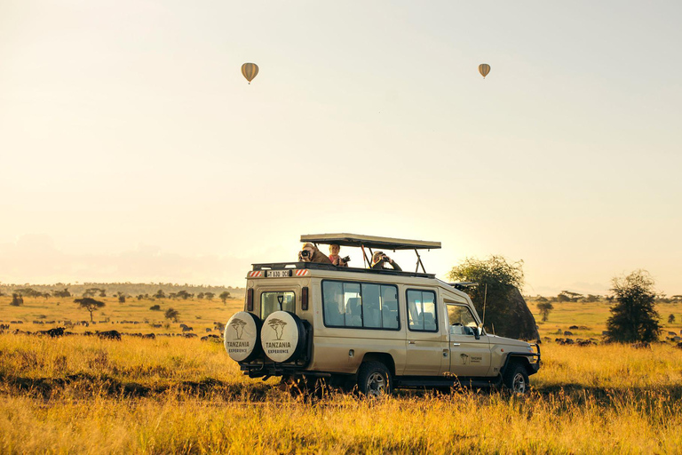 From Durban: Hluhluwe–iMfolozi Game Reserve Safari