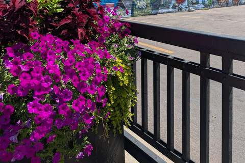Denver: RiNo Art District Guided Walking Tour