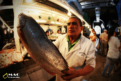 Discover Santiago Half Day Guided Tour Included Local Snack