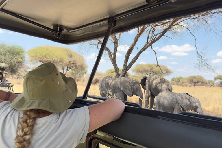 Arusha : 2-Day Ngorongoro Crater & Tarangire national park Arusha: 2 days tarangire and ngorongoro- group safari