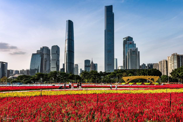 Guangzhou: tour guidato a piedi della città nella Pearl River New Town