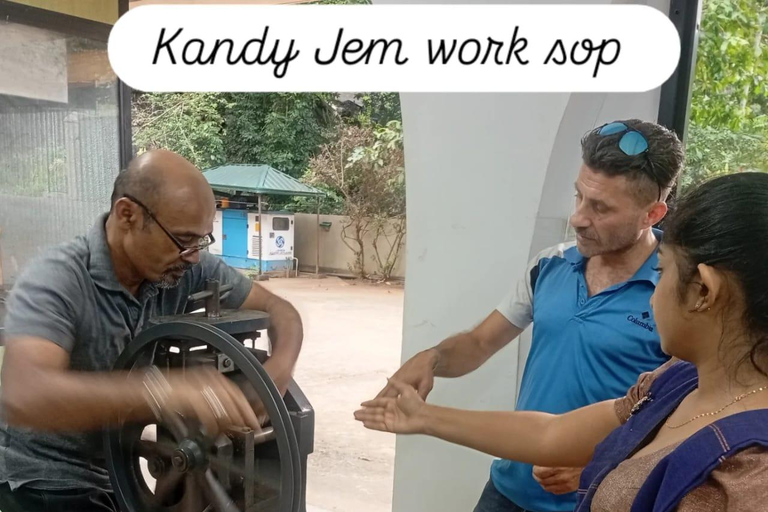 Kandy: Full-Day Tuk-Tuk Tour with Temples & Gardens by Local