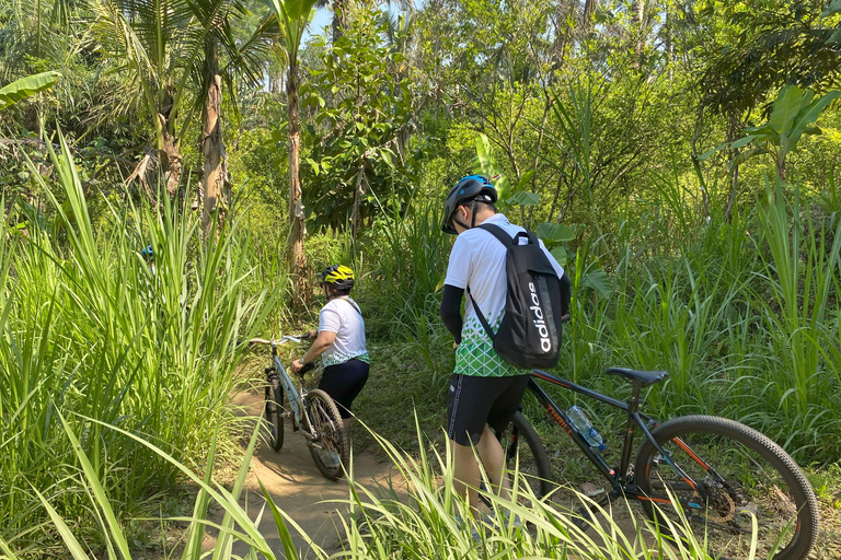 Ubud: Downhill-cykeltur med risfält, vulkan och måltidPrivat grupp
