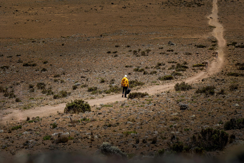 Kilimanjaro: Caminhada de 6 dias na Rota Machame com estadia num hotel