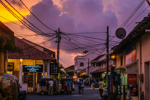 Sri Lanka: 8-Days Tour from the Airport with Private Guide 8 Days Tour with Flat Roof Van