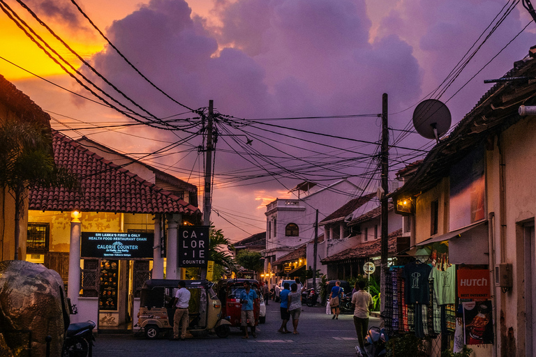 Sri Lanka: 8-Days Tour from the Airport with Private Guide 8 Days Tour with Flat Roof Van