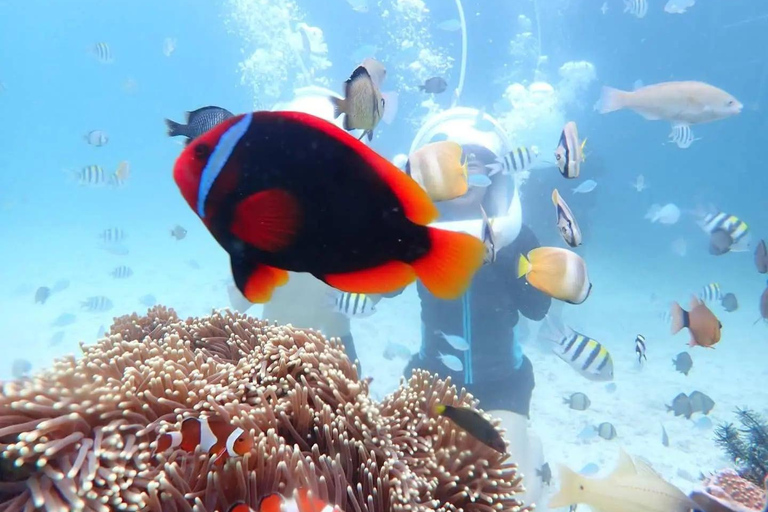 Boracay: Helmet Diving Experience with Crystal Kayak