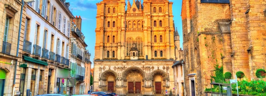 Dijon : Promenade express avec un habitant en 60 minutes