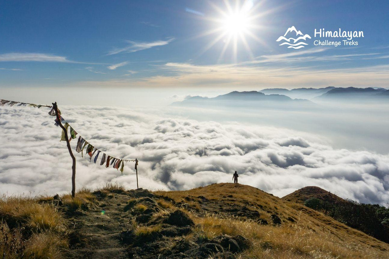 Mardi Himal Trek in 7 Days where Solitude Meets the Peak