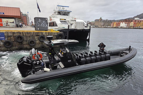 卑尔根：乘坐高级 RIB 船探索莫斯特罗门峡湾卑尔根：乘坐高级 RIB 船游览莫斯特罗门峡湾