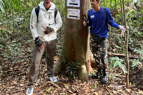 Langkawi: Kilim Geoforest Park Guided Jungle Trek
