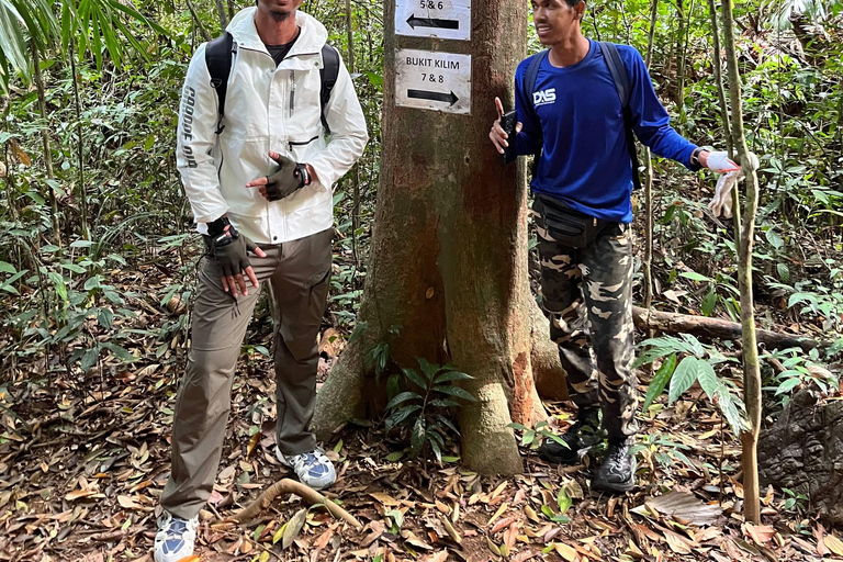 Langkawi: Kilim Geoforest Park Guided Jungle Trek