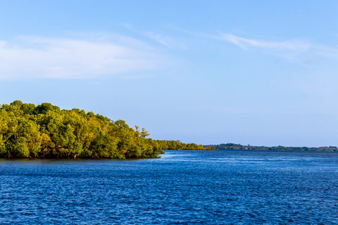 Exploring Nature's Treasures: A Private Day Trip in Diani Exploring Nature's Treasures: A Day Trip in Diani