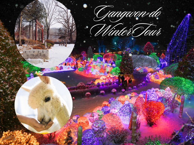 Seoul: Nami and K-Garden with Optional Alpaca Winter Tour