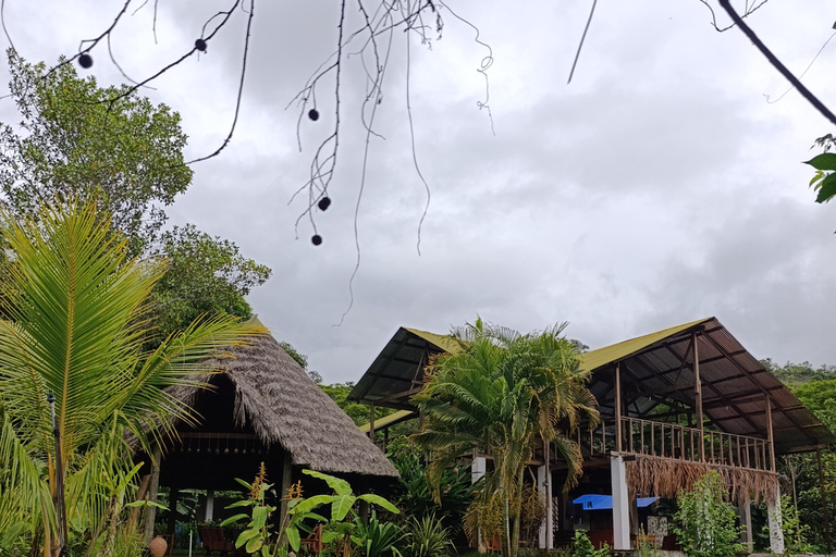 Cusco: 2-Day Coffee & Cacao Farm Stay Experience