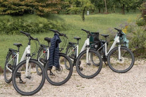 Frankfurt: fiets- of e-bikeverhuur voor een hele dag