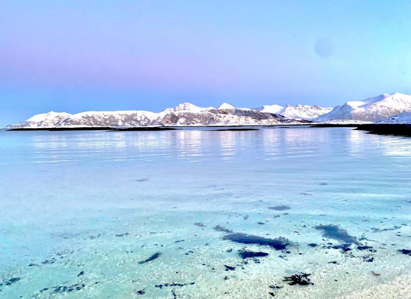 Tromsø: Tur til fjordene og Sommarøya med laksemad