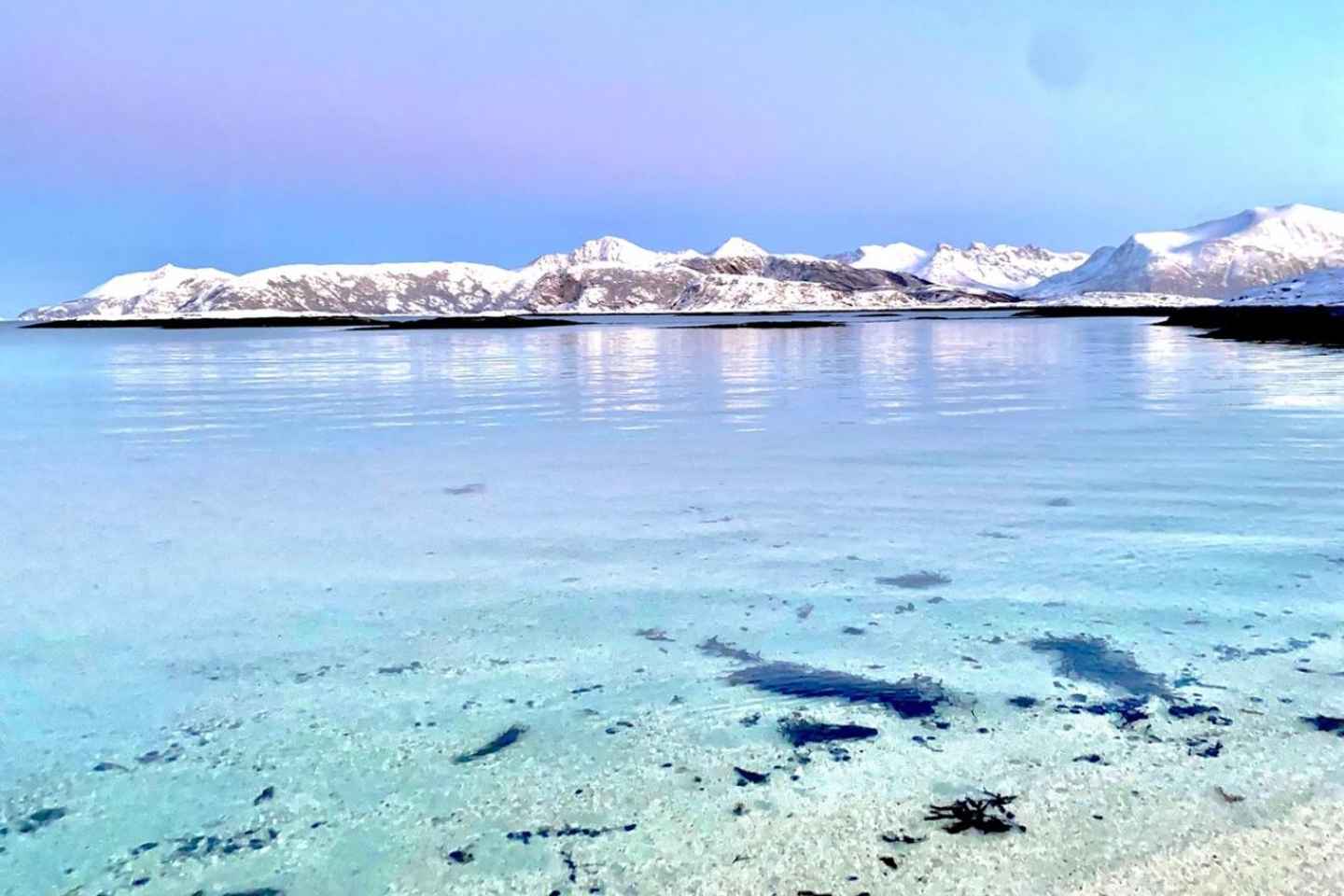 トロムソ：フィヨルドとソンマル島巡りとサーモンピクニック