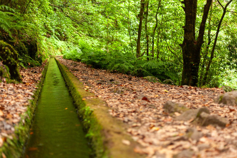 Madeira: PR 18 - Excursión a Levada do Rei con TrasladosMadeira: Excursión a Levada do Rei con Traslados