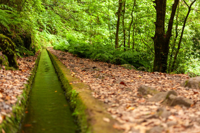 Madeira: PR 18 - Escursione a Levada do Rei con trasferimentiMadeira: Escursione a Levada do Rei con trasferimenti