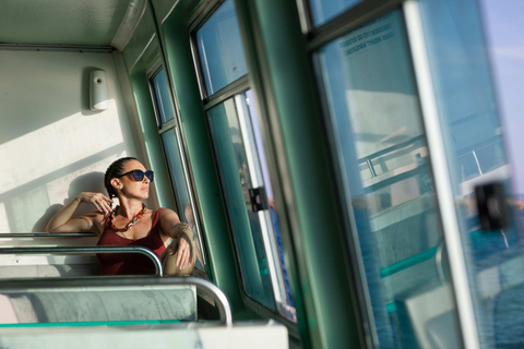 Ibiza: Formentera Full-Day Boat Trip with Sunset Party