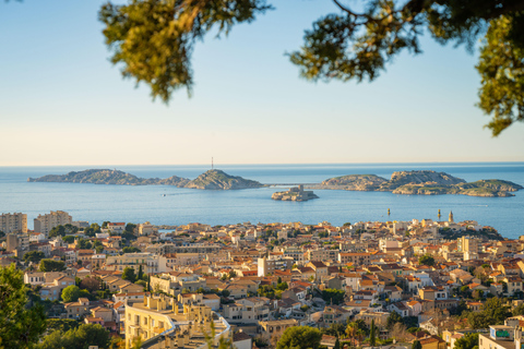 Marseille: Worry-Free Shore Excursion from Cruise Port