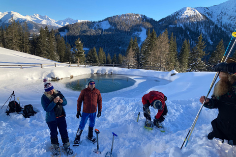 Ehrwald : Randonnée en raquettes à Zugspitze avec vue sur les montagnes