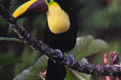 Quito: Mindo Cloud Forest 2-Day Tour with Meals & Hotel