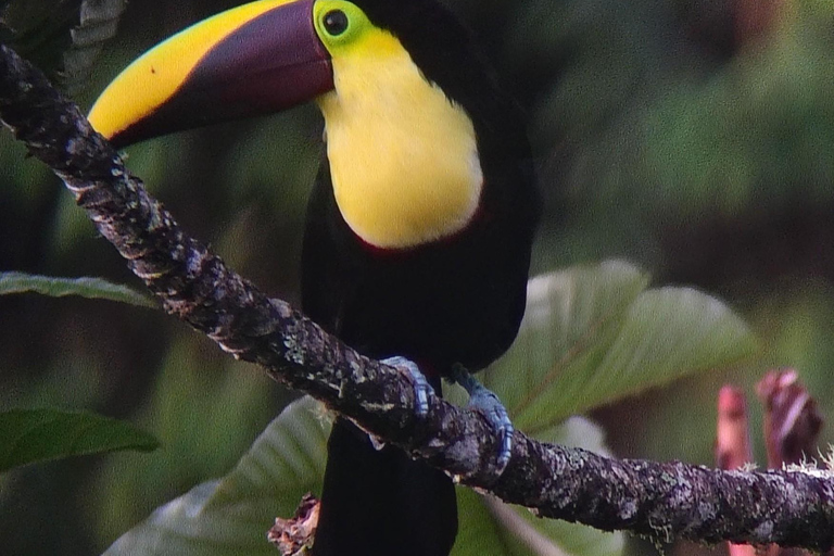 Quito: Mindo Cloud Forest 2-Day Tour with Meals & Hotel