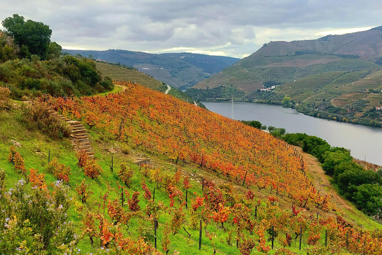 Douro Valley: Private Wine Tour with Lunch