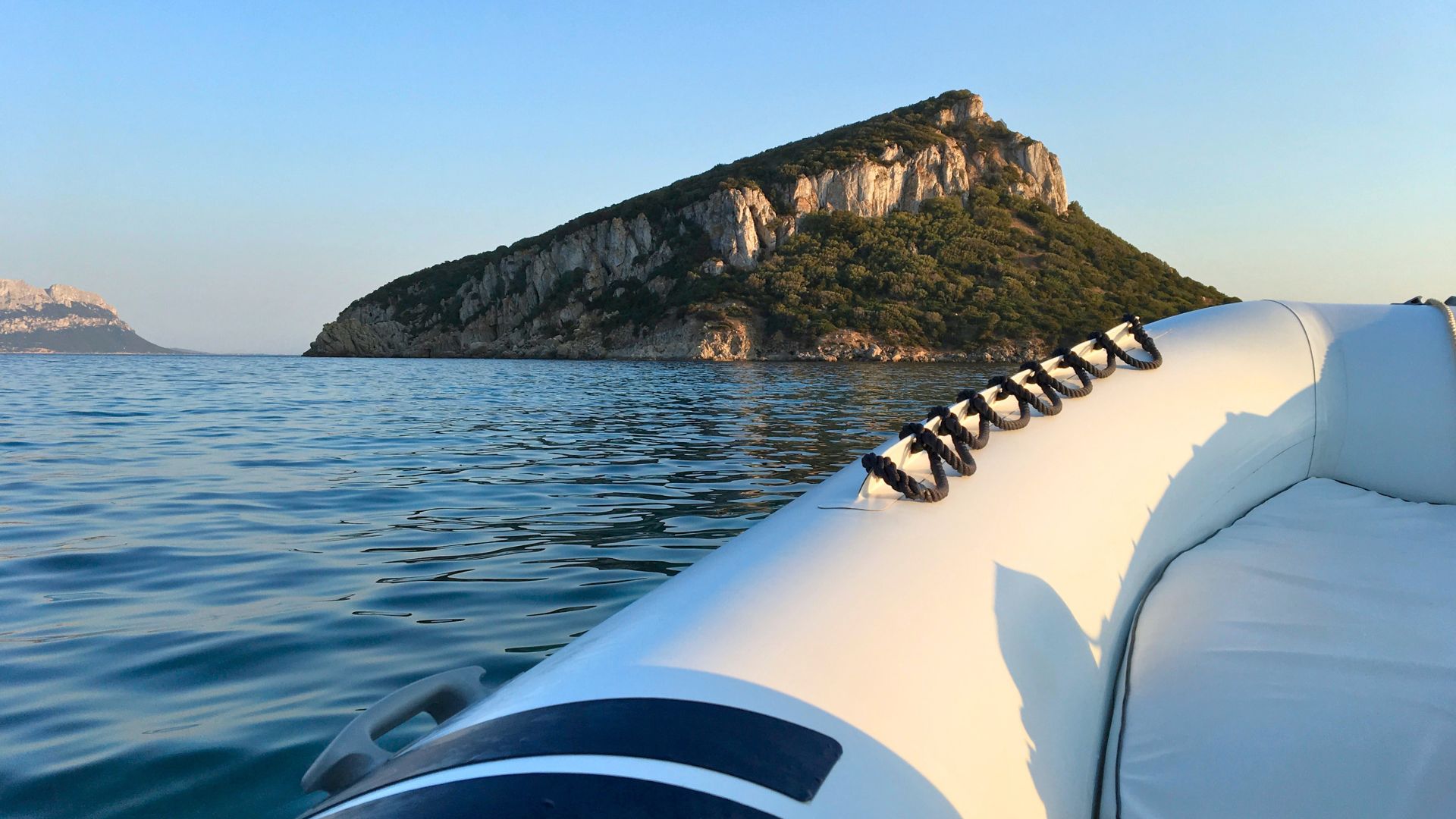 Olbia: Tour mit einem Festrumpfschlauchboot und Delfinbeobachtung
