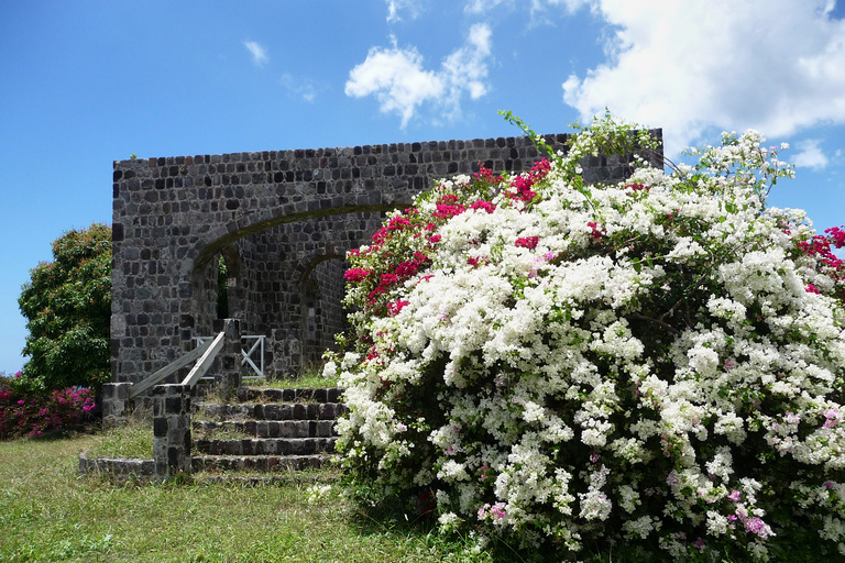 St. Kitts: Top Sights Guided Van or Open-Air Safari Tour