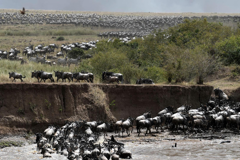 7-Day Kenya Classic Safari: Amboseli,Naivasha & Maasai mara
