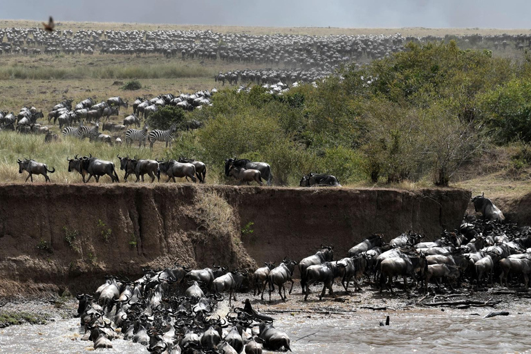 7-Day Kenya Classic Safari: Amboseli,Naivasha & Maasai mara