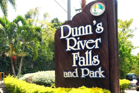 Van Montego Bay: Dunn's River Falls-ervaring