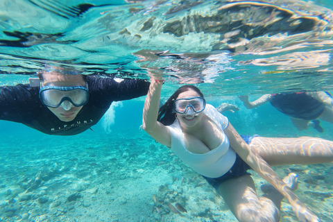 Cartagena: Rosario Islands Sightseeing Tour, Aquarium, Lunch, and Beach
