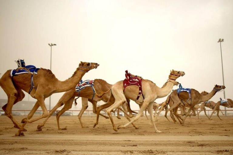 Doha: City Highlights, West of Qatar and Cave Tour with Meal