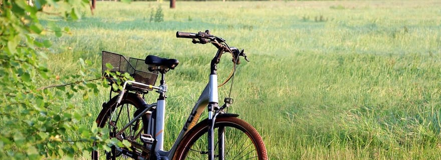 Visite à vélo de la Costa Brava : oliveraies et dégustation locale