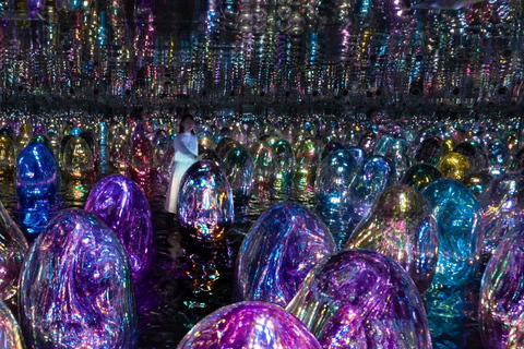 من دبي: جولة في متحف اللوفر أبو ظبي وتيملاب ومتحف زايدجولة خاصة: متحف اللوفر وTeamLab ومتحف زايد الوطني