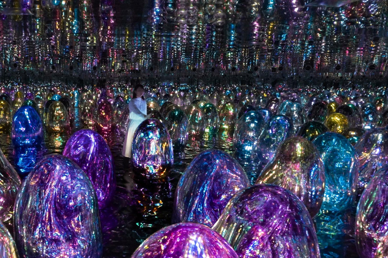 من دبي: جولة في متحف اللوفر أبو ظبي وتيملاب ومتحف زايدجولة خاصة: متحف اللوفر وTeamLab ومتحف زايد الوطني