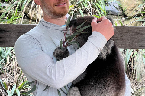 Vanuit Adelaide: Knuffel een Koala en historische Hahndorf Tour