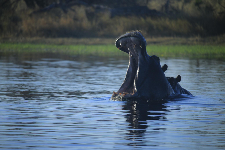 Salt Pans &amp; Delta: Tour with game drives, mokoro &amp; boat trip