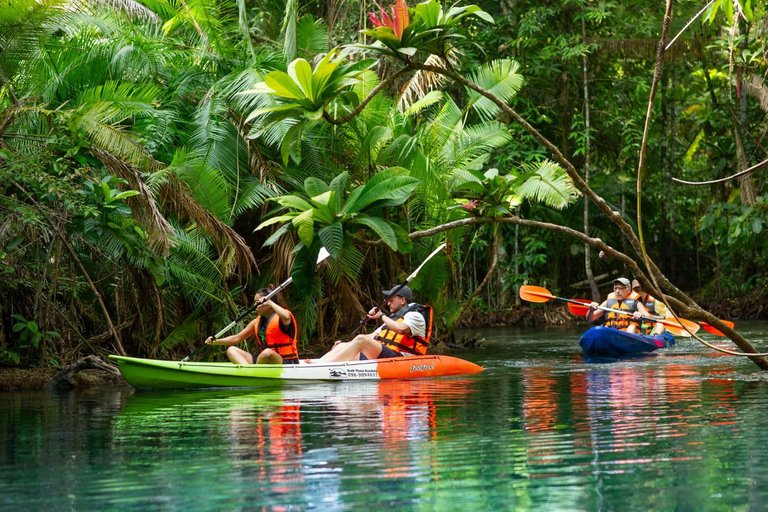 Krabi: Klong Root Kayaking Tour with Swim Stop